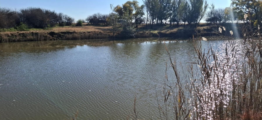 1 Bedroom Property for Sale in Bloemfontein Rural Free State